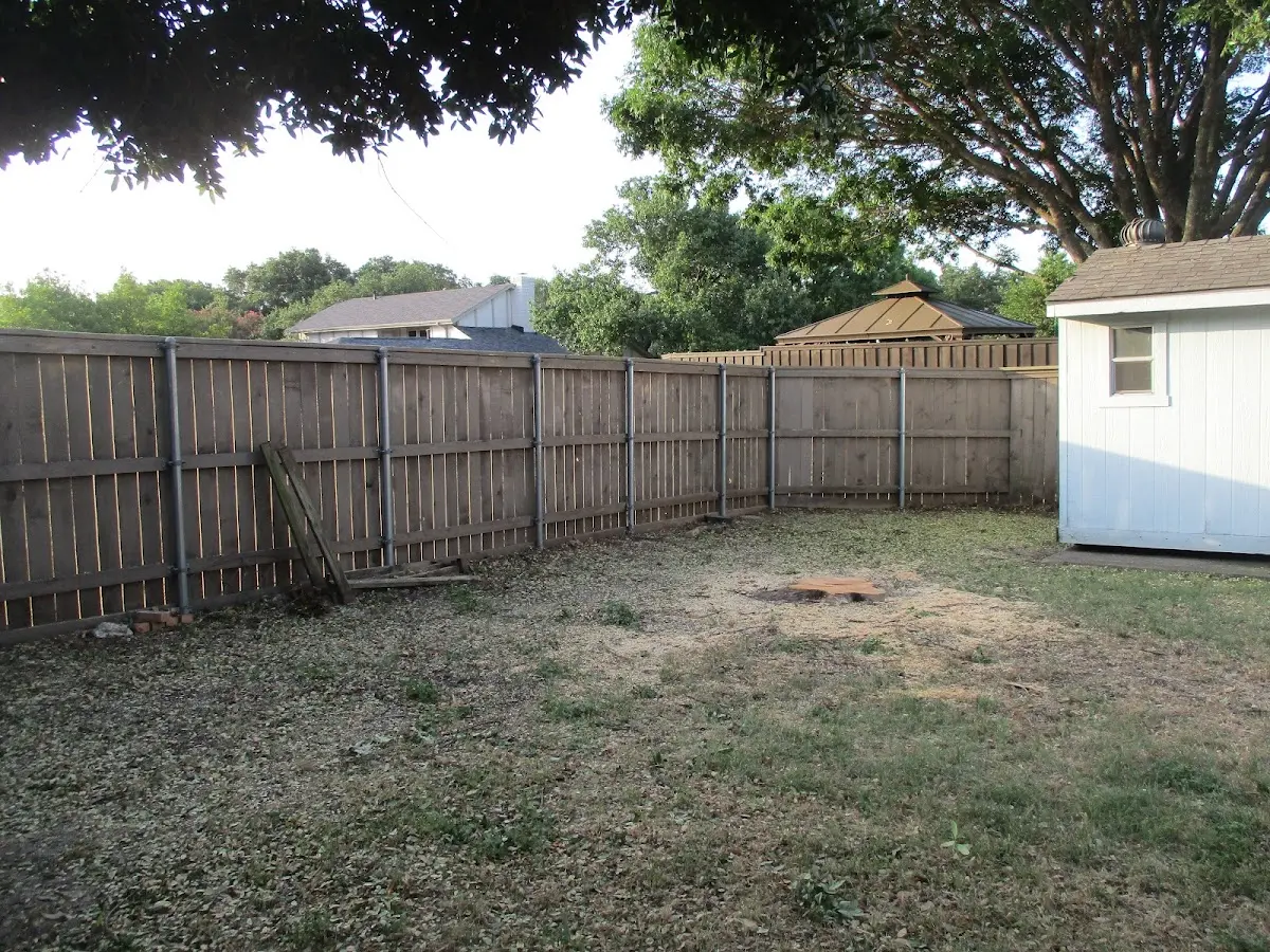 Cleared yard after professional tree removal in Port Bolivar